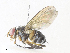  ( - CBG-A34324-E10)  @11 [ ] CreativeCommons - Attribution Share - Alike (2024) CBG Photography Group Centre for Biodiversity Genomics