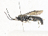  ( - CBG-A34324-H01)  @11 [ ] CreativeCommons - Attribution Share - Alike (2024) CBG Photography Group Centre for Biodiversity Genomics