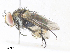  ( - CBG-A35189-F07)  @11 [ ] CreativeCommons - Attribution Share - Alike (2024) CBG Photography Group Centre for Biodiversity Genomics