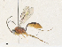  ( - CBG-A35190-C03)  @11 [ ] CreativeCommons - Attribution Share - Alike (2024) CBG Photography Group Centre for Biodiversity Genomics