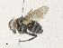  ( - CBG-A35190-D04)  @11 [ ] CreativeCommons - Attribution Share - Alike (2024) CBG Photography Group Centre for Biodiversity Genomics