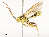  ( - CBG-A67026-B02)  @11 [ ] CreativeCommons - Attribution Share - Alike (2025) CBG Photography Group Centre for Biodiversity Genomics