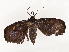  ( - CBG-A67029-A06)  @11 [ ] CreativeCommons - Attribution Share - Alike (2025) CBG Photography Group Centre for Biodiversity Genomics