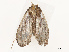  ( - CBG-A67029-B07)  @11 [ ] CreativeCommons - Attribution Share - Alike (2025) CBG Photography Group Centre for Biodiversity Genomics