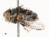  ( - CBG-A67029-C05)  @11 [ ] CreativeCommons - Attribution Share - Alike (2025) CBG Photography Group Centre for Biodiversity Genomics