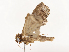  ( - CBG-A67076-B11)  @11 [ ] CreativeCommons - Attribution Share - Alike (2025) CBG Photography Group Centre for Biodiversity Genomics
