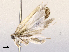  ( - CBG-A67108-E07)  @11 [ ] CreativeCommons - Attribution Share - Alike (2025) CBG Photography Group Centre for Biodiversity Genomics