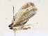  ( - CBG-A67108-F01)  @11 [ ] CreativeCommons - Attribution Share - Alike (2025) CBG Photography Group Centre for Biodiversity Genomics