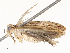  ( - CBG-A67880-B05)  @11 [ ] CreativeCommons - Attribution Share - Alike (2025) CBG Photography Group Centre for Biodiversity Genomics