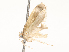  ( - CBG-A67880-C09)  @11 [ ] CreativeCommons - Attribution Share - Alike (2025) CBG Photography Group Centre for Biodiversity Genomics