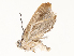  ( - CBG-A67880-H04)  @11 [ ] CreativeCommons - Attribution Share - Alike (2025) CBG Photography Group Centre for Biodiversity Genomics