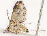  ( - CBG-A67881-A12)  @11 [ ] CreativeCommons - Attribution Share - Alike (2025) CBG Photography Group Centre for Biodiversity Genomics