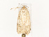  ( - CBG-A67902-A08)  @11 [ ] CreativeCommons - Attribution Share - Alike (2025) CBG Photography Group Centre for Biodiversity Genomics