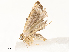  ( - CBG-A67902-F08)  @11 [ ] CreativeCommons - Attribution Share - Alike (2025) CBG Photography Group Centre for Biodiversity Genomics