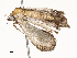  ( - CBG-A67904-H04)  @11 [ ] CreativeCommons - Attribution Share - Alike (2025) CBG Photography Group Centre for Biodiversity Genomics