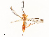  ( - CBG-A67805-D09)  @11 [ ] CreativeCommons - Attribution Share - Alike (2025) CBG Photography Group Centre for Biodiversity Genomics