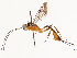  ( - CBG-A67806-C06)  @11 [ ] CreativeCommons - Attribution Share - Alike (2025) CBG Photography Group Centre for Biodiversity Genomics