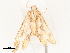  ( - CBG-A67899-A08)  @11 [ ] CreativeCommons - Attribution Share - Alike (2025) CBG Photography Group Centre for Biodiversity Genomics
