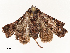  ( - CBG-A67900-A08)  @11 [ ] CreativeCommons - Attribution Share - Alike (2025) CBG Photography Group Centre for Biodiversity Genomics