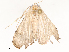  ( - CBG-A67900-G02)  @11 [ ] CreativeCommons - Attribution Share - Alike (2025) CBG Photography Group Centre for Biodiversity Genomics