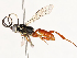  ( - CBG-A72925-A05)  @11 [ ] CreativeCommons - Attribution Share - Alike (2025) CBG Photography Group Centre for Biodiversity Genomics