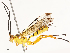  ( - CBG-A72925-F03)  @11 [ ] CreativeCommons - Attribution Share - Alike (2025) CBG Photography Group Centre for Biodiversity Genomics
