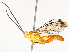  ( - CBG-A72926-G05)  @11 [ ] CreativeCommons - Attribution Share - Alike (2025) CBG Photography Group Centre for Biodiversity Genomics