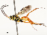  ( - CBG-B13779-B05)  @11 [ ] CreativeCommons - Attribution Share - Alike (2025) CBG Photography Group Centre for Biodiversity Genomics