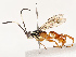  ( - CBG-B13898-A04)  @11 [ ] CreativeCommons - Attribution Share - Alike (2025) CBG Photography Group Centre for Biodiversity Genomics