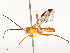  ( - CBG-B13901-G07)  @11 [ ] CreativeCommons - Attribution Share - Alike (2025) CBG Photography Group Centre for Biodiversity Genomics