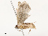  ( - CBG-A67834-A11)  @11 [ ] CreativeCommons - Attribution Share - Alike (2025) CBG Photography Group Centre for Biodiversity Genomics