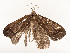  ( - CBG-A67841-G12)  @11 [ ] CreativeCommons - Attribution Share - Alike (2025) CBG Photography Group Centre for Biodiversity Genomics
