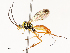  ( - CBG-A67845-H03)  @11 [ ] CreativeCommons - Attribution Share - Alike (2025) CBG Photography Group Centre for Biodiversity Genomics