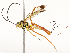  ( - CBG-A67846-E04)  @11 [ ] CreativeCommons - Attribution Share - Alike (2025) CBG Photography Group Centre for Biodiversity Genomics