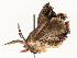  ( - CBG-A67850-G06)  @11 [ ] CreativeCommons - Attribution Share - Alike (2025) CBG Photography Group Centre for Biodiversity Genomics
