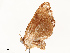  ( - CBG-A67850-G11)  @11 [ ] CreativeCommons - Attribution Share - Alike (2025) CBG Photography Group Centre for Biodiversity Genomics