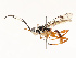  ( - CBG-A67856-B09)  @11 [ ] CreativeCommons - Attribution Share - Alike (2025) CBG Photography Group Centre for Biodiversity Genomics
