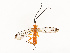  ( - CBG-A67856-E03)  @11 [ ] CreativeCommons - Attribution Share - Alike (2025) CBG Photography Group Centre for Biodiversity Genomics