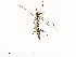  ( - CBG-A67856-G02)  @11 [ ] CreativeCommons - Attribution Share - Alike (2025) CBG Photography Group Centre for Biodiversity Genomics