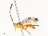  ( - CBG-A67944-E03)  @11 [ ] CreativeCommons - Attribution Share - Alike (2025) CBG Photography Group Centre for Biodiversity Genomics