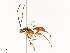  ( - CBG-A67944-G05)  @11 [ ] CreativeCommons - Attribution Share - Alike (2025) CBG Photography Group Centre for Biodiversity Genomics