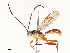 ( - CBG-A67946-G05)  @11 [ ] CreativeCommons - Attribution Share - Alike (2025) CBG Photography Group Centre for Biodiversity Genomics