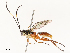  ( - CBG-A67946-G06)  @11 [ ] CreativeCommons - Attribution Share - Alike (2025) CBG Photography Group Centre for Biodiversity Genomics