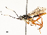  ( - CBG-A69617-E06)  @11 [ ] CreativeCommons - Attribution Share - Alike (2025) CBG Photography Group Centre for Biodiversity Genomics