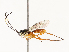  ( - CBG-A69638-H02)  @11 [ ] CreativeCommons - Attribution Share - Alike (2025) CBG Photography Group Centre for Biodiversity Genomics