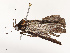  ( - CBG-A67012-A05)  @11 [ ] CreativeCommons - Attribution Share - Alike (2025) CBG Photography Group Centre for Biodiversity Genomics