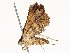  ( - CBG-A67012-D06)  @11 [ ] CreativeCommons - Attribution Share - Alike (2025) CBG Photography Group Centre for Biodiversity Genomics