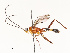  ( - CBG-A67014-D04)  @11 [ ] CreativeCommons - Attribution Share - Alike (2025) CBG Photography Group Centre for Biodiversity Genomics