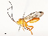  ( - CBG-A67817-D07)  @11 [ ] CreativeCommons - Attribution Share - Alike (2025) CBG Photography Group Centre for Biodiversity Genomics