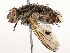  ( - CBG-A67820-C06)  @11 [ ] CreativeCommons - Attribution Share - Alike (2025) CBG Photography Group Centre for Biodiversity Genomics